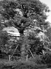 工农注册公司